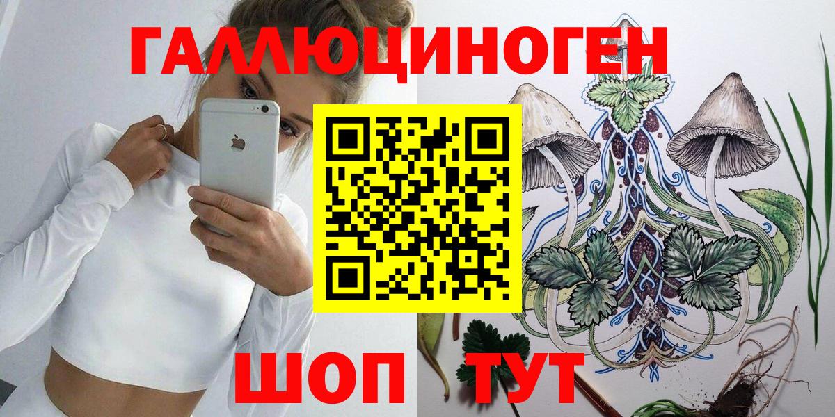 Псилоцибиновые грибы Cubensis Ревда
